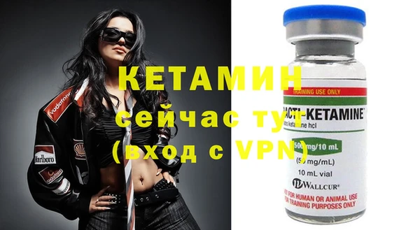 стаф Богданович