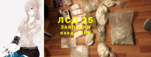 стаф Богданович