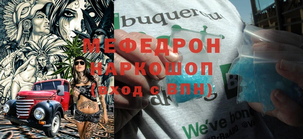 стаф Богданович