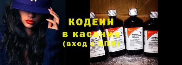 стаф Богданович