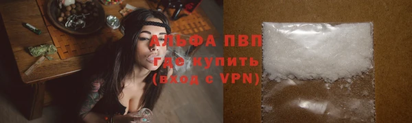 стаф Богданович