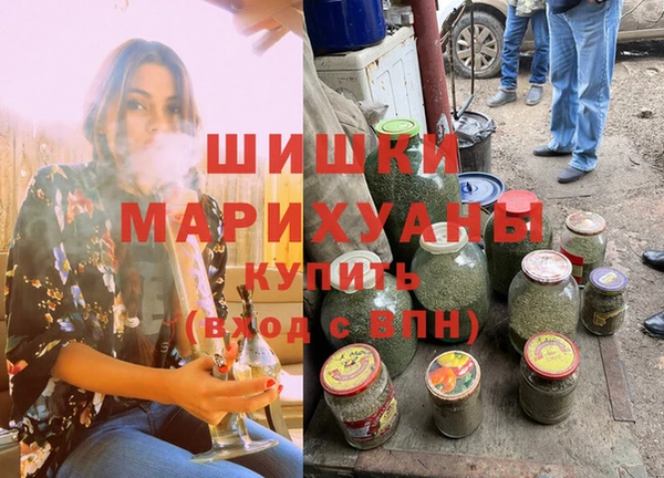 стаф Богданович
