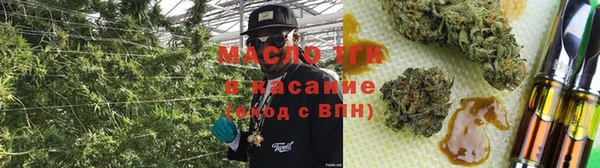 стаф Богданович