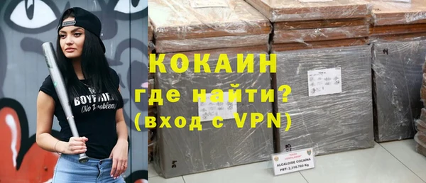 стаф Богданович